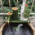 Sunlitec Solar Fountain Pump for Bird Bath
