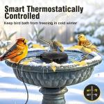 Winter Bird Bath Heater with Thermostat Control