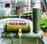 Sunlitec Solar Fountain Pump for Bird Bath