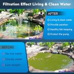 Solar Pond Filter Fountain with Battery Backup System