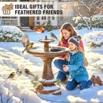 Winter Bird Bath Heater with Thermostat Control