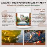 Dr. Raifya’s Muck Reducer–Natural Pond Sludge & Water Fountain Clarifier, Beneficial Bacteria Safe for Fish & Wildlife, Remove Muck in Koi Ponds, Bird Baths, Fountains & Turtle Ponds, Easy to Use–1 LB