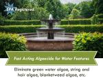 Fountain Algaecide and Clarifier - 64oz - Kills and Inhibits All Types of Algae Growth, Formulated for Small Ponds and Water Features, Treats up to 64,000 Gallons
