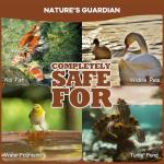 Dr. Raifya’s Muck Reducer–Natural Pond Sludge & Water Fountain Clarifier, Beneficial Bacteria Safe for Fish & Wildlife, Remove Muck in Koi Ponds, Bird Baths, Fountains & Turtle Ponds, Easy to Use–1 LB