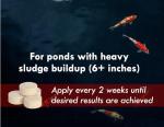 KoiWorx Muck Reducer, 145 Tablets Treats up to 6,000 Gallons of Water, Beneficial Bacteria Reduces Muck, Sludge and Organic Build up, Formulated for Ponds, Water Features and Safe for Koi
