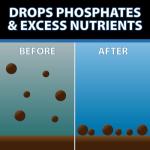 CrystalClear RapiClear Liquid Pond Flocculant for Outdoor Water Gardens, Fountains & Ponds, Natural Clarity Solution, Fish, Plant & Pet Safe, 32 Ounce