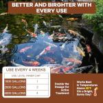 Dr. Raifya’s Muck Reducer–Natural Pond Sludge & Water Fountain Clarifier, Beneficial Bacteria Safe for Fish & Wildlife, Remove Muck in Koi Ponds, Bird Baths, Fountains & Turtle Ponds, Easy to Use–1 LB