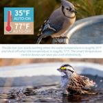 COICOTTC 2Pack 250 Watt Pond De-Icer with Thermostat, Cast Aluminum Submersible Bird Bath Heater, Heated Chicken Water, Power Cord 9.8 Ft