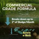 ActiClear Muck Clear - 5LB Beneficial Bacteria for Ponds & Lake, Boost Enzymes, Sludge Odor Away, Outdoor Fish Pond Water Clarifier, Safe for Aquatic Life, Treats Up to 30,000 Sq Ft