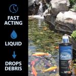 CrystalClear OneFix Beneficial Bio Clarifier Treatment for Clear Water Gardens, Small Outdoor Ponds & Fountains, Koi Fish, Plant & Pet Safe, 1 Gallon