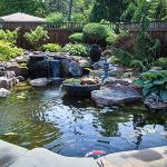 Aquascape Prevent Fountain and Waterfall Water Treatment for Dosing System SL, 96094