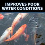 CrystalClear OneFix Beneficial Bio Clarifier Treatment for Clear Water Gardens, Small Outdoor Ponds & Fountains, Koi Fish, Plant & Pet Safe, 1 Gallon