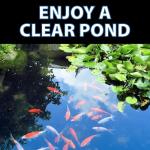 CrystalClear OneFix Beneficial Bio Clarifier Treatment for Clear Water Gardens, Small Outdoor Ponds & Fountains, Koi Fish, Plant & Pet Safe, 1 Gallon