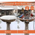 Bird Bath Heater with Thermostatic Control
