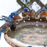 Flower Shape 250W Submersible De-Icer for Ponds