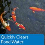 API Pond Accu-Clear 32-Ounce Water Clarifier