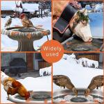 Bird Bath Heater with Thermostatic Control