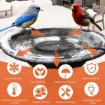Bird Bath Heater with Thermostatic Control