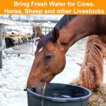 250W Submersible Bird Bath Heater for Winter