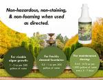 Algaecide and Clarifier for Small Ponds 32oz