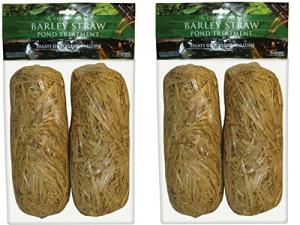 Summit Clear-Water Barley Straw Bales, 2 Pack