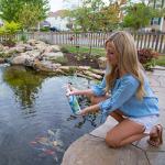 Aquascape Water Treatment for Fountains and Waterfalls