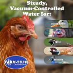 5 Gallon Double-Wall Poultry Water Fountain