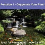 AquaMiracle Outdoor Koi Pond Aerator Kit
