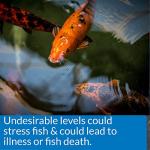 API 5-in-1 Pond Water Test Strips - 25 Count