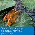 API Pond Master Test Kit for Water Quality