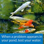 API Pond Master Test Kit for Water Quality