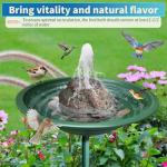 Bird Bath Fountain with Rock Design and Pump
