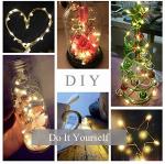 2 Pack Battery Operated LED Firefly Lights