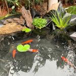 7x10 FT Heavy-Duty Pond Liner for Fish Ponds