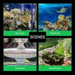 VIVOSUN 1150GPH Submersible Pump for Ponds and Aquariums