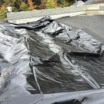 Jamesvan 7x10 FT PVC Pond Liner for Fish