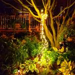 Solar Fairy Bunch Lights for Outdoor Gardens
