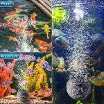 Deyoo 4-Outlet Pond Air Pump Kit with Tubing