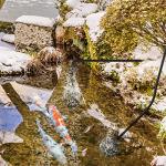 Deyoo 4-Outlet Pond Air Pump Kit with Tubing