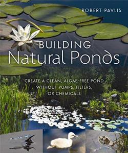 Build a Clean, Algae-Free Natural Pond