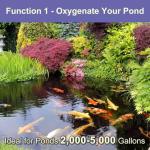 AquaMiracle Koi Pond Aerator and Deicer Kit