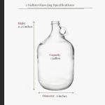 1 Gallon Glass Fermenting Jug with Handle Set