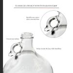 1 Gallon Glass Fermenting Jug with Handle Set