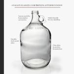 1 Gallon Glass Fermenting Jug with Handle Set
