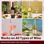 Wine Wand Filter Set - Alleviate Allergies, Enhance Taste