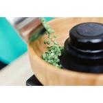 NutriMill Harvest Electric Grain Mill - Black