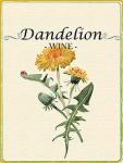 Dandelion Wine Bottle Labels - 30 Pack, Removable