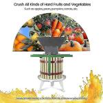 Manual Fruit Wine Press and Crusher for Home Use