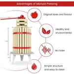 Fruit Wine Press and Apple Crusher Set