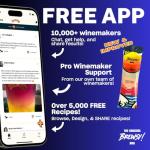 Brewsy Wine Making Starter Kit - Choose Juice